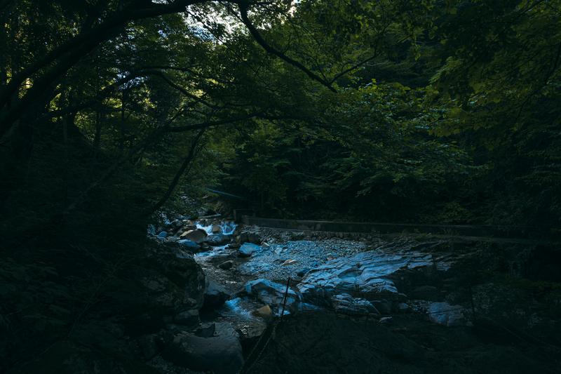 森林・小川