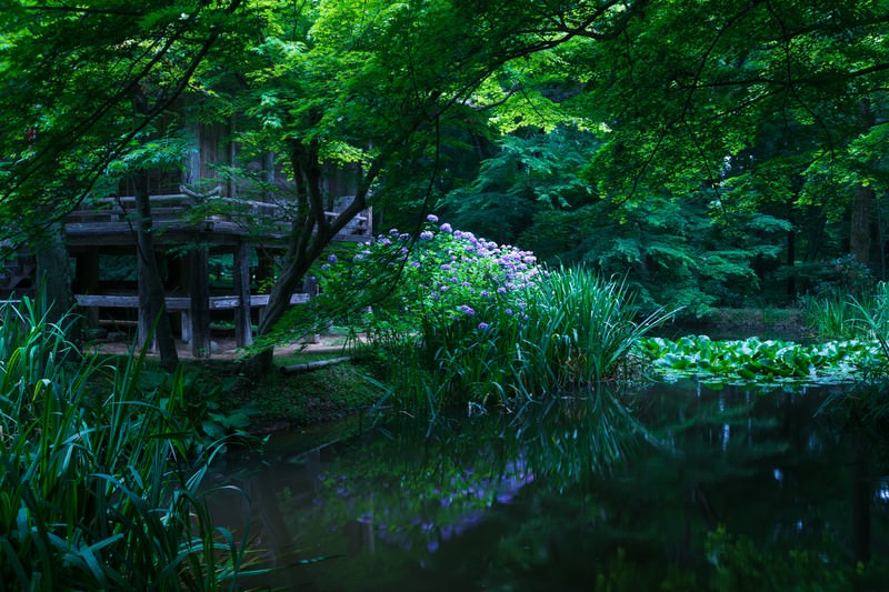 弁財天・神社