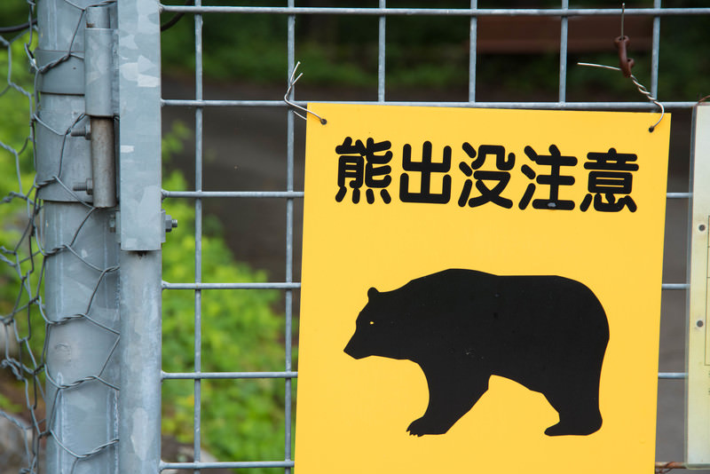 クマ出没注意